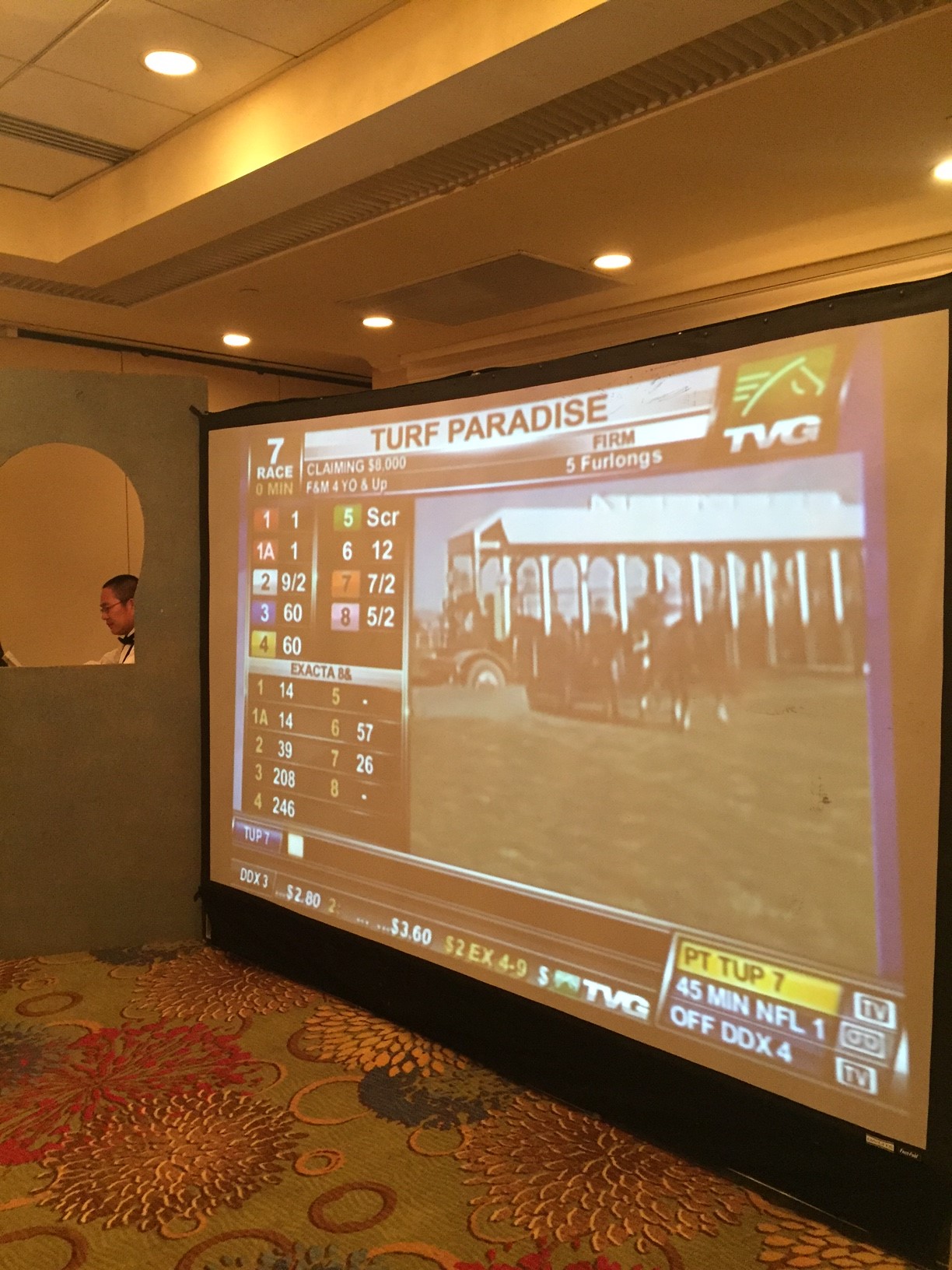 Race and Sports Book - Photo Finish